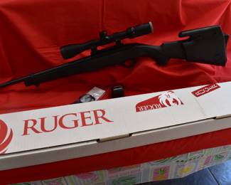 Ruger 10-22