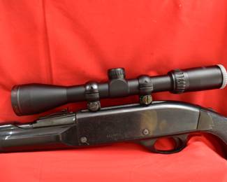 Remington nylon 66. 22 cal. Tasco scope