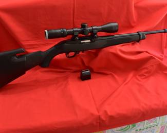 Ruger 10-22 with scope