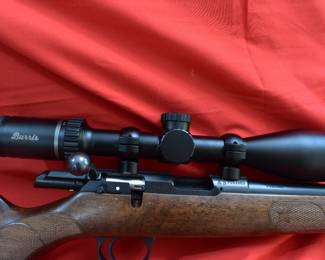check bolt action 22 cal. with Burris Scope