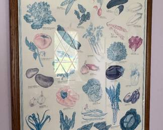 Vintage Vegetable Picture