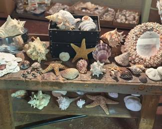 Many shells