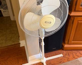 Oscillating fan