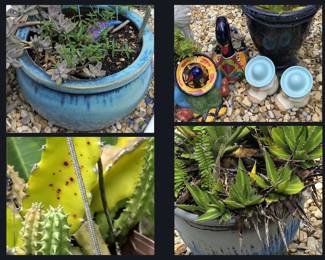 Lots of Plants and Planters