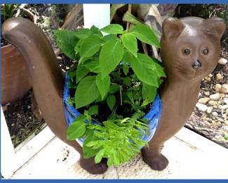 Adorable Cat Planter; The Yard is FULL of Plants, Planters & Yard Art