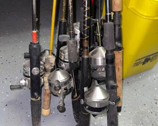 Fishing poles with reels