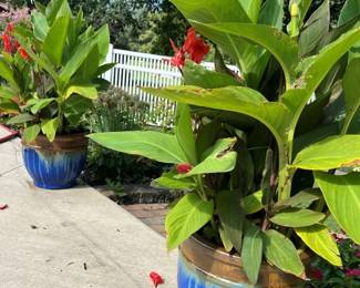 29 Outdoor Planter Sampler II