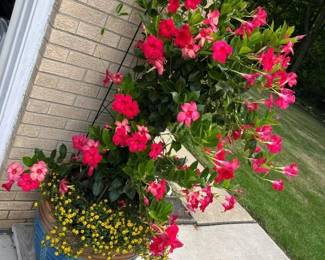 29 Outdoor Planter Sampler