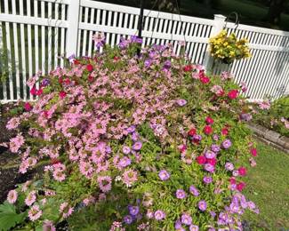 29 Hanging Planter Sampler