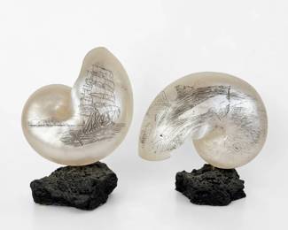 Pair of Engraved Pearlized Style Nautilus Shells