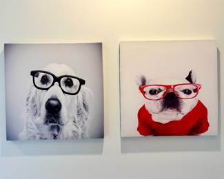 $28/each - Funny dogs in glasses prints - 24L x 24H