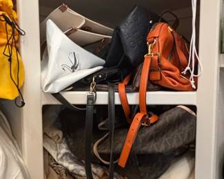 Designer Handbag Collection Assorted