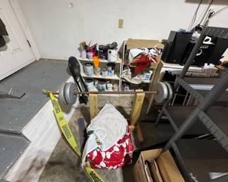 Curl/bench weight bar & weights