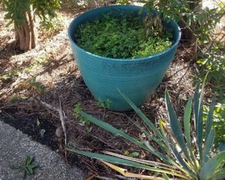 Pots