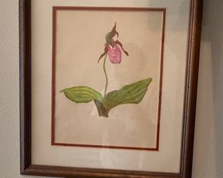 Botanical Watercolor of Cypripedium (Lady's Slipper Orchid)