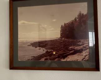 Sepia Tone Coastal Landscape Photograph - Acadia National Park