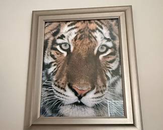Framed Tiger Portrait Print