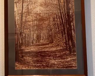 Sepia Tone Forest Path Photogravure or Print