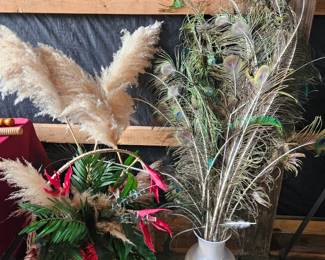 Peacock Feathers
