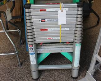 12' TELESCOPING LADDER