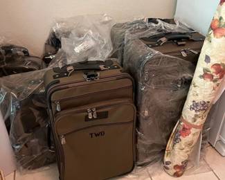 Luggage Set