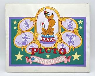 Pluto wonder dog
