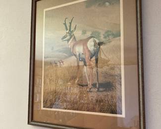 framed antelope print