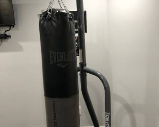 Everlast punching bag