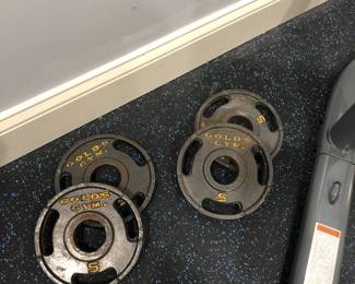 Vintage Gold's Gym weights