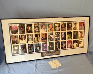 Star Trek The Motion Picture Framed Collectors Cards