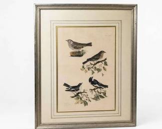 Framed vintage bird print lithograph
Condition: Good
Single framed ornithological print showing four birds on branches, matted and housed in a silver-tone frame. The work appears decorative rather than a rare natural-history plate; exact artist/publisher is unverified from the photo.