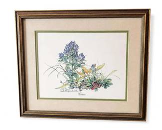 Framed botanical print titled Centaur
Condition: Good
Framed botanical artwork under glass with layered beige and green mats and a dark wood/gilt frame. The central image depicts a detailed plant study with the caption 'Centaur' below the illustration. The piece appears decorative and likely sold as wall art; whether it is an original drawing or a print is not confirmed from the photo alone.