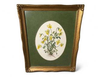 Framed botanical floral print with gold gilt frame and green mat
Condition: Good
Decorative framed botanical print showing yellow flowers and green foliage in an oval cream vignette, set within a dark green mat and ornate gold frame. Likely intended as wall decor rather than a rare collectible print.