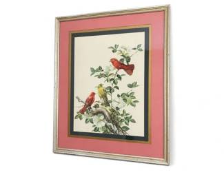 Framed botanical bird and floral print
Condition: Good
Framed wall art featuring three small songbirds among leafy branches and white flowers, with layered dark and gold mats inside a pink outer mat and a gold-toned frame. Appears to be under glass and in overall presentable decorative condition from the front view.