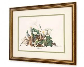 Framed botanical flower print
Condition: Good
Framed botanical floral print showing a cluster of white flowers and foliage on a light background, mounted with a green inner border and gold-tone frame. The piece appears decorative and ready to hang. No secondary items are being counted.