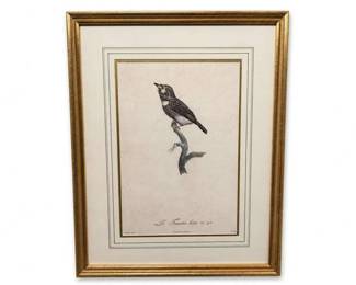 Framed ornithological bird print with single trogon, gilt frame
Condition: Good
Framed vintage-style bird plate showing one perched bird on a branch; cream matting with gold accent border and a gilt frame. The print appears to be an ornithological/natural-history illustration, likely a reproduction or vintage plate, but the maker is not confirmed from the image alone.