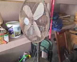 Fans