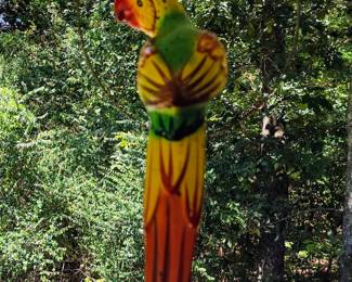 Several hanging parrots