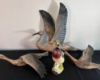 Hanging Wood Ducks And More