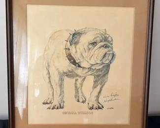 Georgia Bulldog By W D Gaither