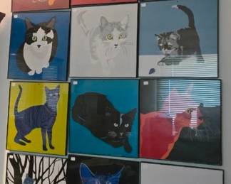 Cat Pictures
