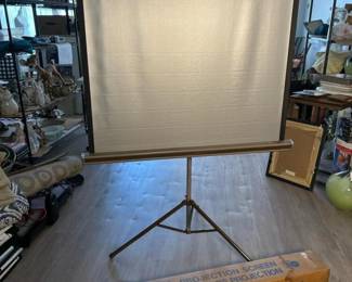 049 dalitesilverpacerprojectionscreenw