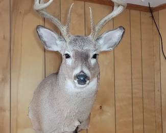 Ten Points To GryffinDeer