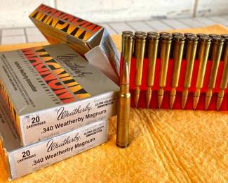 .340 Weatherby Magnum