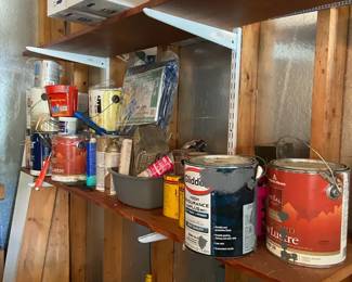 Paint Stain Turpentine  More