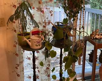 Live Plants Macrame Hangers Hand Painted Watering Can  2 Plant Stands