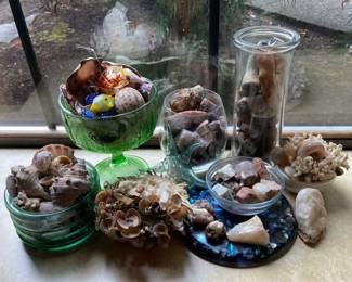 Rocks Minerals and Shells with Glass Display Dishes