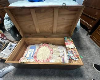 Storage trunk (open)