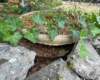 pots