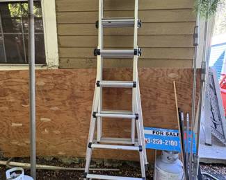 Little Giant Ladder with attachments
